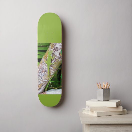 Lounge Lizard Green Gecko Skateboard (Wandkunst)