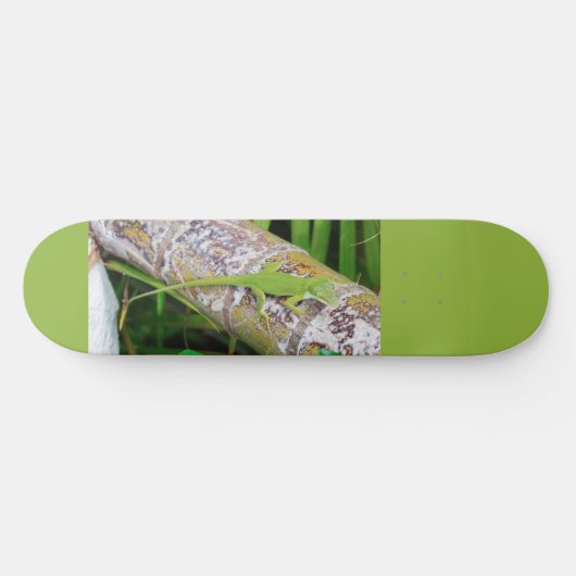 Lounge Lizard Green Gecko Skateboard (Horizontal)