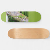 Lounge Lizard Green Gecko Skateboard (Horizontal)