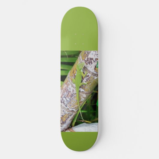 Lounge Lizard Green Gecko Skateboard (Vorderseite)