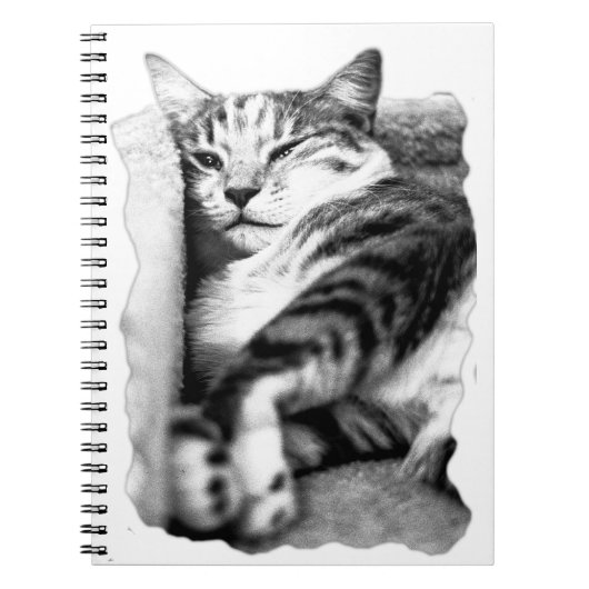 Lounge Tabby Cat Portrait Notebook Notizblock (Vorderseite)