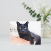 Lounge um die Postkarte herum (Stehend Vorderseite)