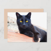 Lounge um die Postkarte herum (Vorne/Hinten)