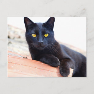 Lounge um die Postkarte herum