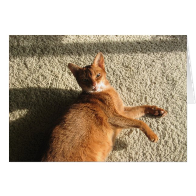 Lounges Kitty Card (Vorderseite (Horizontal))