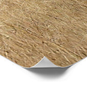 Lounging Buffalo Poster (Ecke)