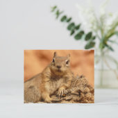 Lounging Chipmunk Postcard Postkarte (Stehend Vorderseite)