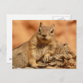 Lounging Chipmunk Postcard Postkarte (Vorne/Hinten)
