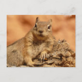 Lounging Chipmunk Postcard Postkarte (Vorderseite)