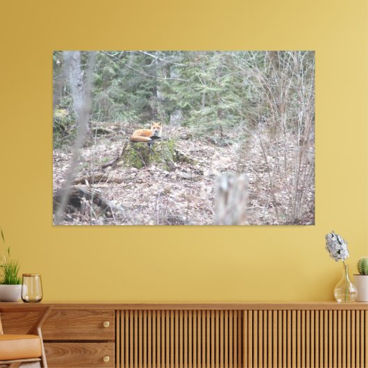 Lounging Fox Leinwanddruck (Insitu (Wohnzimmer))