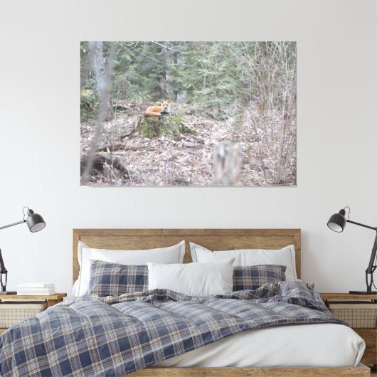 Lounging Fox Leinwanddruck (Insitu (Schlafzimmer))