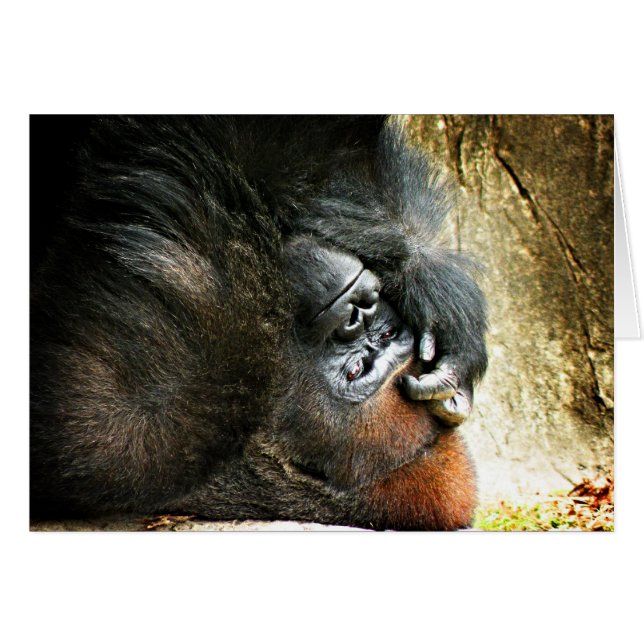 Lounging Gorilla Blank Card (Vorderseite (Horizontal))