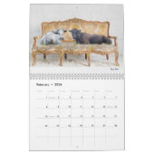 Lounging Kühe Kalender nach Tiffany Bohrer (Feb 2026)