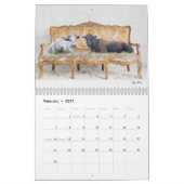 Lounging Kühe Kalender nach Tiffany Bohrer (Feb 2027)