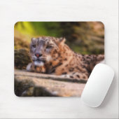Lounging Leopard Mousepad (Mit Mouse)