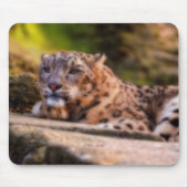 Lounging Leopard Mousepad (Vorne)