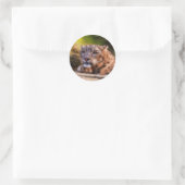 Lounging Leopard Runder Aufkleber (Tasche)