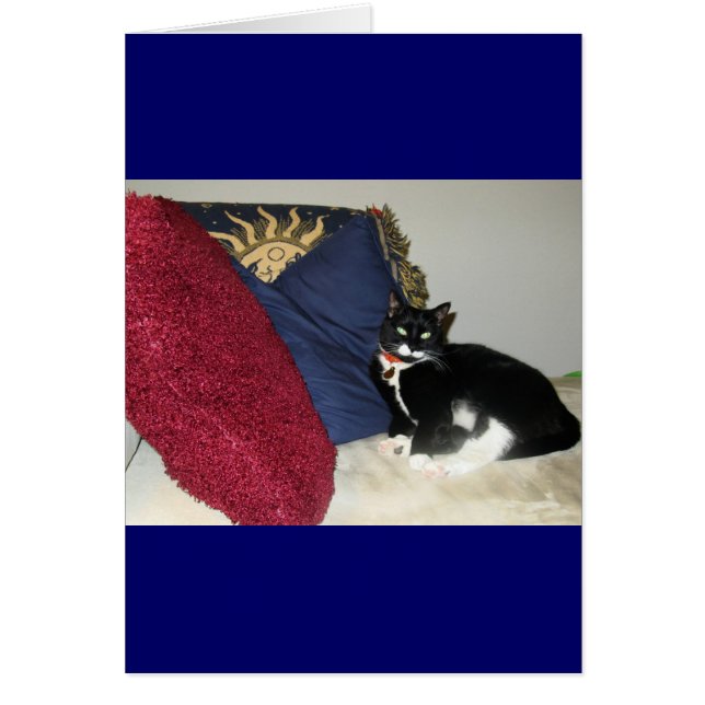 Lounging Lucy (Vorne)