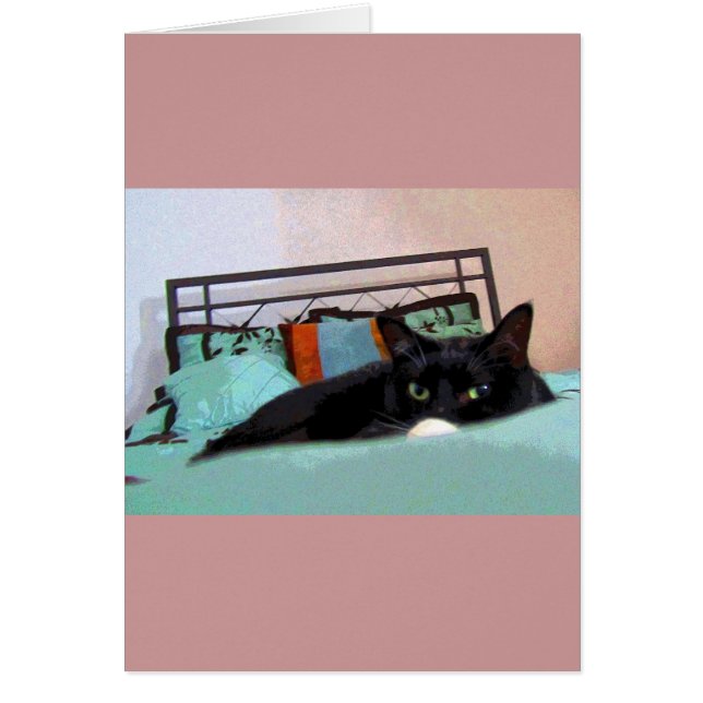 Lounging Lucy Comic Book (Vorne)