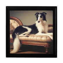 Lounging Tri Borzoi