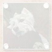 Lounging Westie auf Sofa Glasuntersetzer (Rückseite)