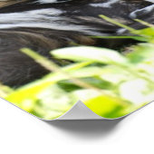 Lounging Wild Dog Poster (Ecke)