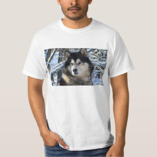 Loups erste Schneefälle 2012 T-Shirt