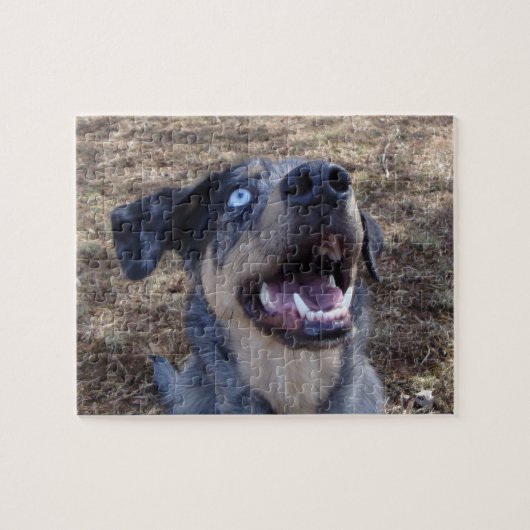 Lousiana Catahoula Leopard Dog Puzzle (Horizontal)
