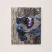 Lousiana Catahoula Leopard Dog Puzzle (Vertikal)