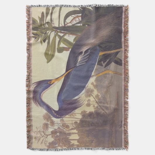 Lousiana Heron in Grau, Green und Blue von Audubon Decke (Vorderseite Vertikal)