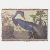 Lousiana Heron in Grau, Green und Blue von Audubon Decke (Vorderseite)