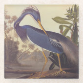 Lousiana Heron in Grau, Green und Blue von Audubon Glasuntersetzer (Vorderseite)