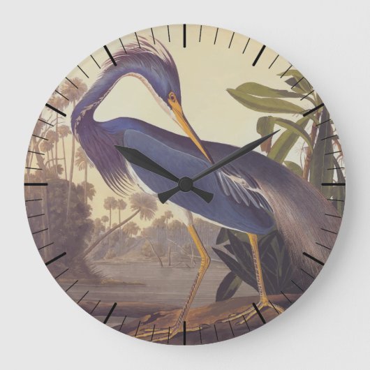 Lousiana Heron in Grau, Green und Blue von Audubon Große Wanduhr (Vorderseite)
