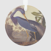 Lousiana Heron in Grau, Green und Blue von Audubon Ornament (Rückseite)