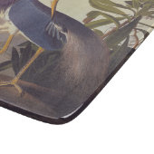 Lousiana Heron in Grau, Green und Blue von Audubon Schneidebrett (Ecke)
