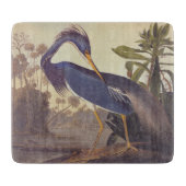 Lousiana Heron in Grau, Green und Blue von Audubon Schneidebrett (Vorderseite)