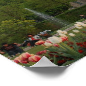 Louvre Museum Poster (Ecke)