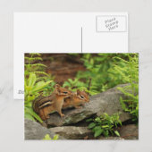 Love Baby Chipmunk Geschwister Postkarte (Vorne/Hinten)