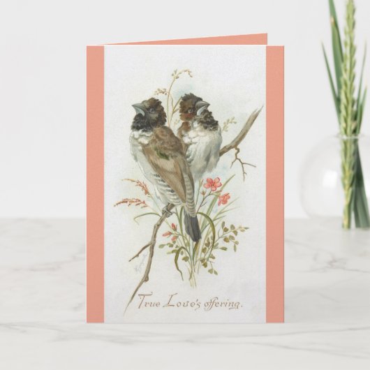 Love Birds Anniversary Greeting Card Karte (Vorderseite)