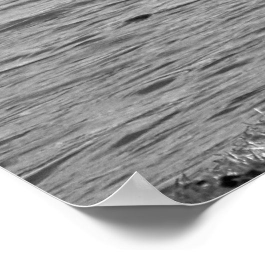 Love Birds B&W Poster Medium (Ecke)