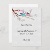 Love Birds Kirschblüten Save the Date Ankündigungspostkarte (Vorne/Hinten)