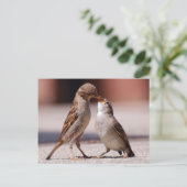 Love Birds Kissing Postkarte (Stehend Vorderseite)