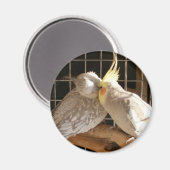 Love Birds Magnet (Vorderseite/Rückseite)