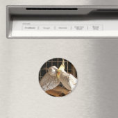 Love Birds Magnet (In Situ (Geschirrspüler))