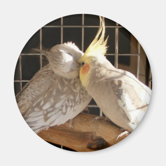 Love Birds Magnet (Vorne)