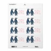 Love Birds Penguin Couple Thunder_Cove (Vorne)