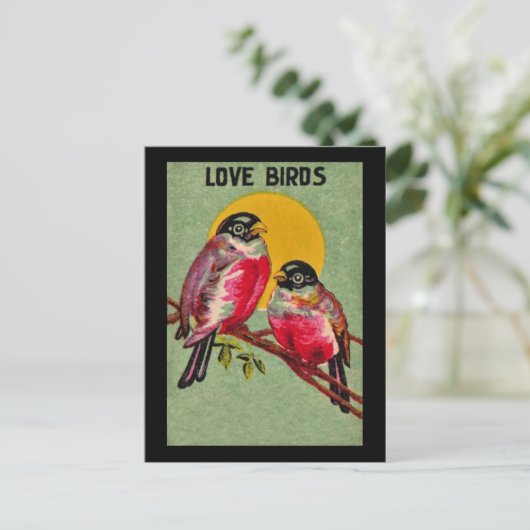 Love Birds Postcard Postkarte (Stehend Vorderseite)