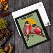 Love Birds Postcard Postkarte