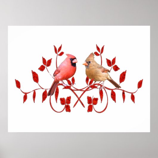 Love Birds Poster (Vorne)