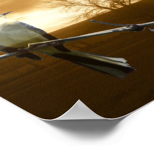 Love Birds_Poster Poster (Ecke)